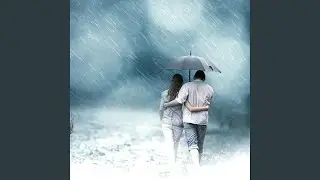 Through the Storm We Rise