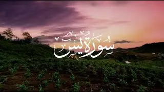 سورة يس | تلاوة مباركة ترتيل القارئ محمد أسامة