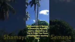 Walking to a country village in Samana DR to teach the truth.