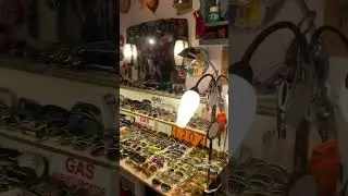 Просмотр антикварных магазинов#antique#lover#vlog#happy#play#life#fyp#knlifee