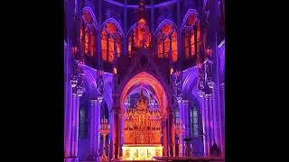 You&rsquo;ve Never Seen Vienna&rsquo;s Votivkirche Like This! (Immersive Light Show)