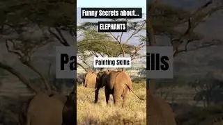 Funny secrets about Elephants 🐘🌳Part 2 #naturelovers #secrets #elephant #elephantdance #funny