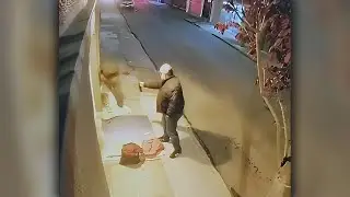 Suspect in Marina District beating released when victim fails to appear in court