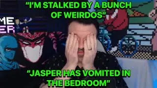 Jasper Threw Up In The Bedroom, DSP Had A Bad Morning And Begs For Cat Toys