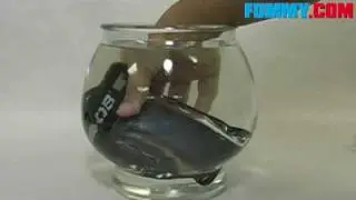 OverBoard Waterproof Cell Phone Case-Review