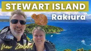 Exploring a beautiful island sanctuary vibrant with bird life - Stewart Island, Ulva Island