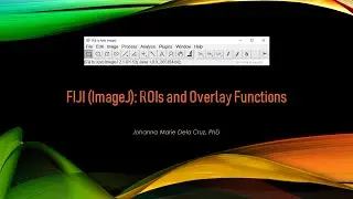 FIJI (ImageJ): ROIs and Overlay Functions