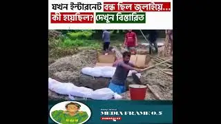 জুলাইয়ে ইন্টারনেট বন্ধ! কি ঘটেছিল সেই দিন? পুরো সত্য দেখুন | MEDIA FRAME 0.5