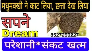 Dream of honey bee biting, flying bee, मधुमक्खियों का छत्ता, उड़ती दिखाई दे,मधु मक्खी काटे क्या फल