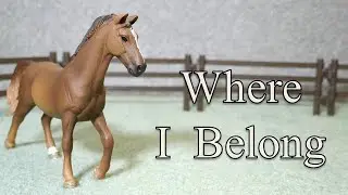 Where I Belong | Series Intro | Ochre Stables Schleich Horse Series