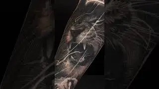 Black and gray realistic forearm lion tattoo artist Hallows #tattoosformen #tattooideas #tatuaje
