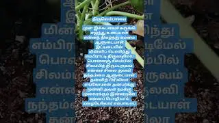 Thiruvempavai, Composer Shri Maanikka Vacagar, sloka , Munni kadalai surukki