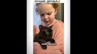 Видели такое? Лучшие друзья #cat #humanity #love