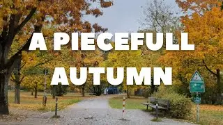 Feel the Autumn #autumn #naturewalk #walkingtour #europe 
