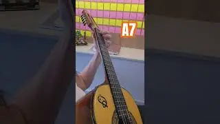 Bora aprender alguns acordes na Viola Caipira? 🤠