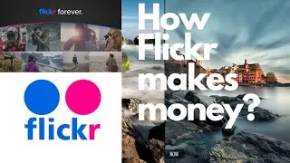 Flickr case study hindi business model photo sharing image shack Shutterstock Yahoo acquired company