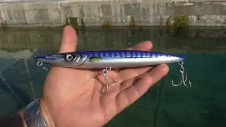 &Gamma;&nu;&omega;&rho;&iota;&mu;ί&alpha; &mu;&epsilon; &tau;&omicron; Espetron 195 &tau;&eta;&sigmaf; FISHUS