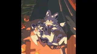 Sunday Tints (ft. @chikoritamoon)