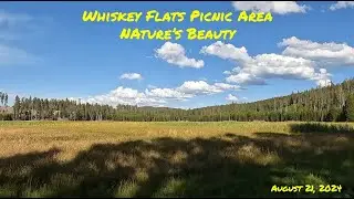 Whiskey Flats Picnic Area - Nature's Beauty #meadow #marsh #yellowstonenationalpark