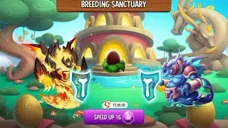 NEW BREEDING : Flame Titan Dragon And Sea Titan Dragon | DRAGON CITY