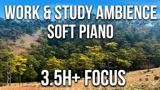 Work & Study Ambience - Soft Piano Music in Pine Forest | 3H 34M Focus Background