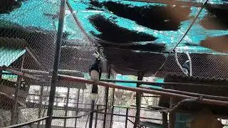 Video 0ec8be3d 06a4 45d4 910f b17b92c05189