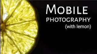 Home Photography Ideas to go Viral on Instagram | Creative Photography with Lemon .