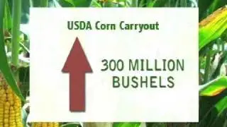 Louisiana Farm Bureau Bottom Line Neil Melancon Corn/Soybean