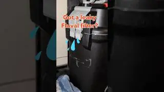 How to fix leak in Fluval canister filters 307 & 407 💦