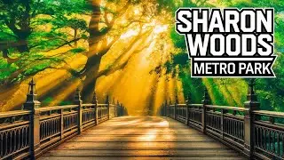 Sharon Woods Metro Park Multipurpose Trail