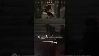 When Dogs Attack (COD: Vanguard Beta) #shorts