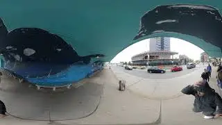 Mapping Bay St: Virtual Ethnography 1