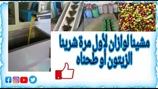 ouazzane###وزان##### ###وزان اول مرة في حياتي نشري الزيتون ونطحنوا شوفو شنو وقاع لنا###