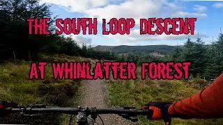 Whinlatter Forest Altura Trail South Loop