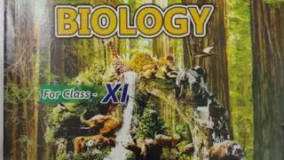 Biomolecules lecture #1.1 , biology, STB