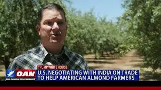 U.S. negotiating with India on trade to help American almond farmers