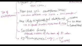 Technique&rsquo;s Revision 02 Electrophoresis tips #trick #short#video#csir#DBT#ICMR#
