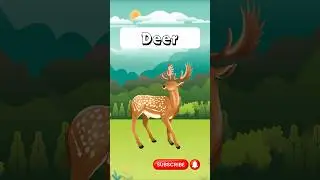 learn animal names #cervo  #sweetchiltv #animalkids #deer