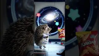 Small Spikes, Big Mission &ndash; Tiny Hedgehog&rsquo;s Heroic Journey | SyntrackAI