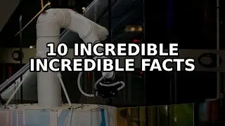 10 Incredible Facts About AI mishaps and robot fails with humor