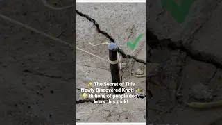 ✨ The Secret of This Newly Discovered Knot! ✨💡 Billions of people don&rsquo;t know this trick!