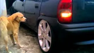Corsa fixa 17