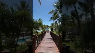 The Reef Coco Beach, a place to fall in love in every walk 😍