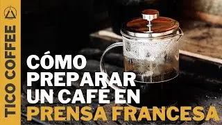 Cómo hacer café en prensa francesa - Una guía