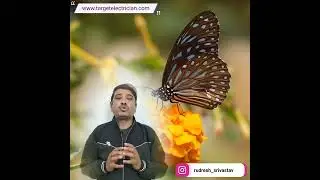 फूलों के लिए खतरनाक गैस | gyan ki udan #shorts