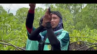 Monitoring Patrol KPH Unit VI Pulau Muna