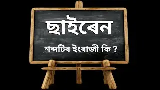 Siren ortho ki / sairen orth ki 