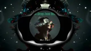 Omen (Drop-Zone Remix) - Mr.Tac