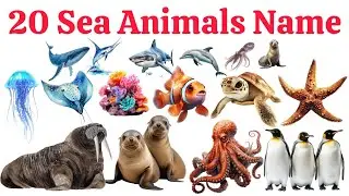 20 समुद्री जानवरों के नाम 🌊 | 20 Sea Animals Name in English and Hindi | Kids Learning Video 🐠🐬