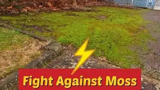 Easiest Way To Remove Moss From Tarmac